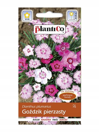 Nasiona Goździk Pierzasty Mix 0,5 Gram Plantico PlantiCo
