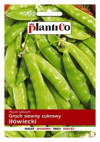 Nasiona Groch Siewny Cukrowy Iłówiecki Plantico 50G PlantiCo