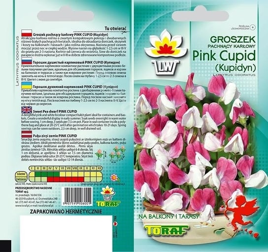Nasiona Groszek Pachnący Pink Cupid Kupidyn Toraf Toraf