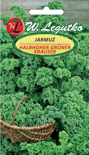 Nasiona Jarmuż Halbhoher Grüner Krauser-Śr.Wysoki W. Legutko