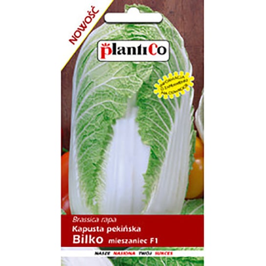 Nasiona Kapusta Pekińska Bilko - Mieszaniec 0,15 Gram Plantico PlantiCo