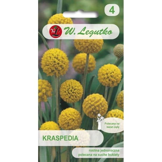 Nasiona, Kraspedia żółta 0,10g W. Legutko