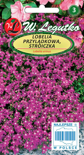 Nasiona Lobelia Przylądkowa, Stroiczka, 0,1G W. Legutko