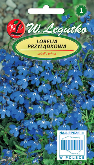 Nasiona Lobelia Przylądkowa, Stroiczka Niebieska W. Legutko