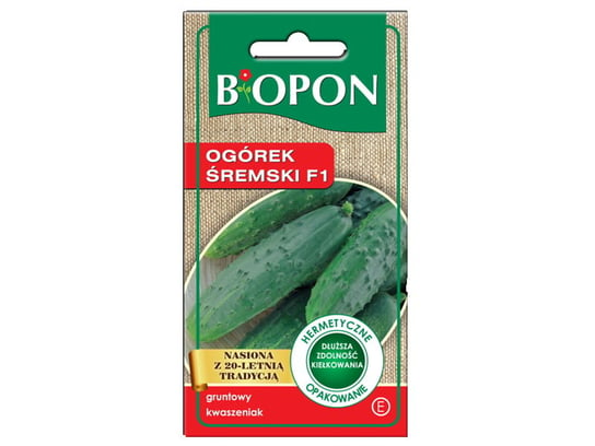 Nasiona ogórek śremski kwaszeniak F1 Biopon 1467 Biopon
