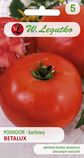 Nasiona Pomidor Gruntowy Karłowy Betalux, Wczesny LEGUTKO