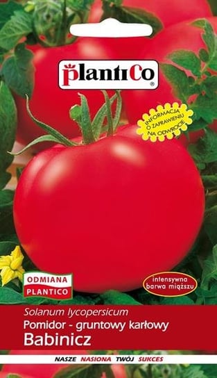 Nasiona Pomidor Gruntowy Solanum Lycopersicum L. Babinicz 1 Gram Plantico PlantiCo