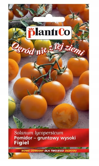 Nasiona Pomidor Gruntowy Solanum Lycopersicum L. Figiel 0,2 Gram Plantico PlantiCo