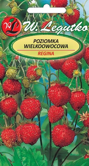 Nasiona Poziomka Regina, Owoce Czerwone, Duże 0,1G LEGUTKO