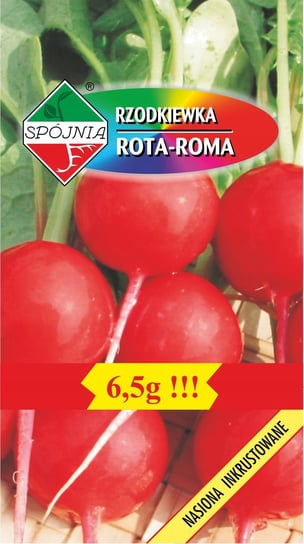 Nasiona Rzodkiewka Rota Roma 6,5G Spójnia Spójnia