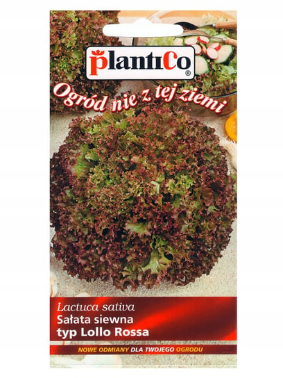 Nasiona Sałata Liściowa Lollo Rossa 0,5 Gram Plantico PlantiCo