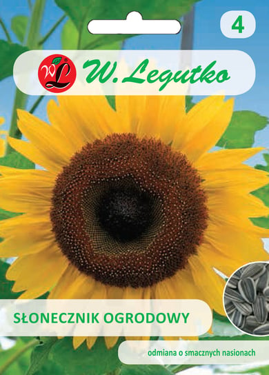 Nasiona Słonecznik Ogrodowy, 20G W. Legutko