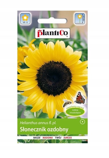 Nasiona Słonecznik Ozdobny Helianthus Annus Pojedynczy Wysoki 2G Plantico PlantiCo