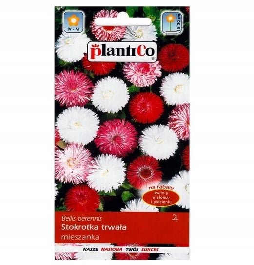 Nasiona Stokrotka Półpełna Trwała Mieszanka 0,1G Plantico PlantiCo
