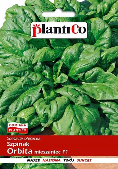 NASIONA Szpinak Orbita Mieszaniec F1 10g PLANTICO 404557 PlantiCo