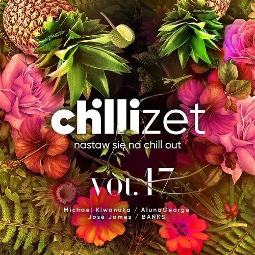 Nastaw się na chill out, Vol. 17 Various Artists