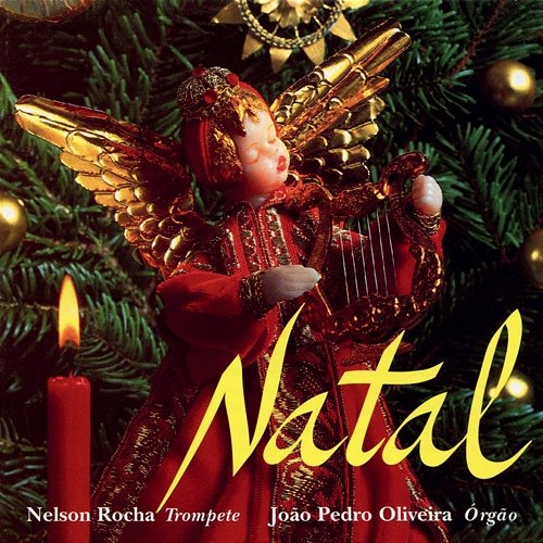 Natal João Pedro Oliveira, Nelson Rocha