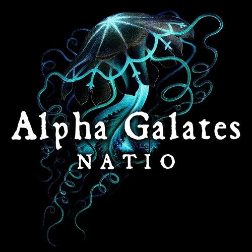 Natio Alpha Galates