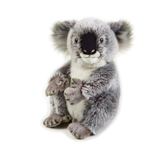 National Geographic, maskotka Koala, duża Venturelli
