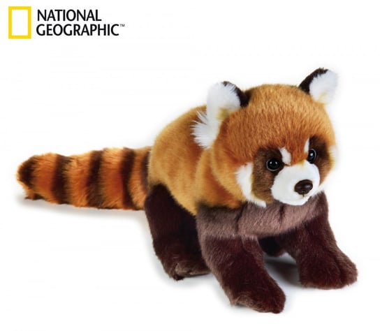 National Geographic, maskotka Panda czerwona, duża Venturelli