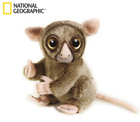 National Geographic, maskotka Wyrak, duży Venturelli