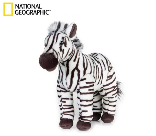 National Geographic, maskotka Zebra, duża Venturelli