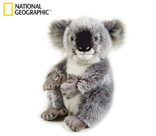 National Geographic, pacynka Koala Australijski National geographic