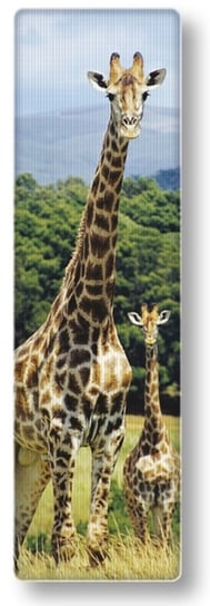 National Geographic zakładka do książki 3D Żyrafa IF