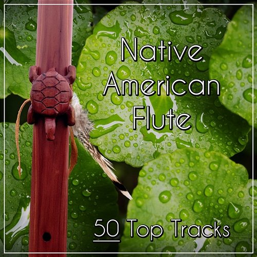 Native American Flute – 50 Top Tracks: Calming Nature Sounds with Flute for Relaxation & Meditation, Chinese Instruments for Massage & Yoga, Deep Sleep & Spa Day Meditation Mantras Guru