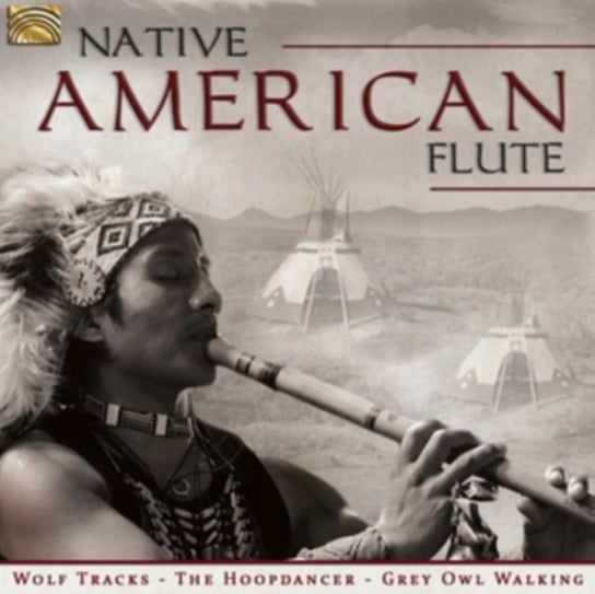 Native American Flute Various Artists