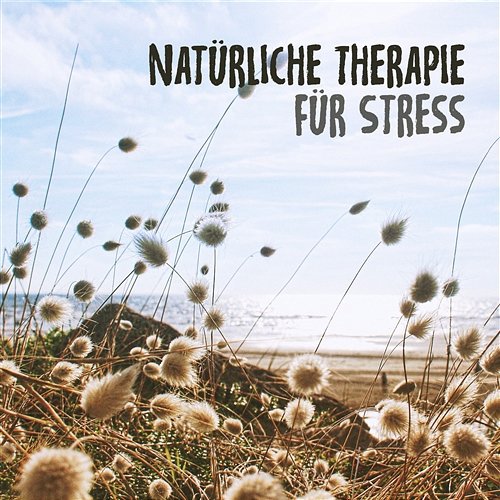 Natürliche Therapie für Stress: Die beste Entspannungsmusik für Meditation, Entspannung, Nachdenken, überwinden Sie Angst mit Naturgeräuschen Entspannungmusik Academy