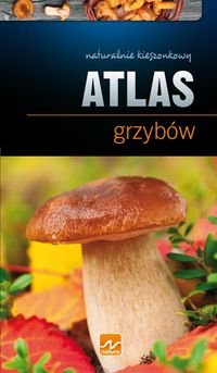 Natura. Atlas grzybów Kamiński Wiesław