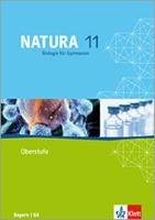 Natura Biologie für Gymnasien. Schülerband 11. Schuljahr. G8. Ausgabe für Bayern Klett Ernst /Schulbuch, Klett