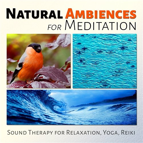 Natural Ambiences for Meditation – Sound Therapy for Relaxation, Yoga, Reiki, Music for Deep Sleep, Healing and Inner Peace Nature Meditation Academy