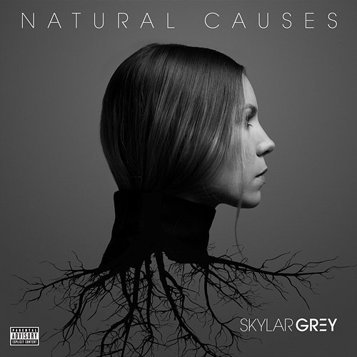 Natural Causes Skylar Grey