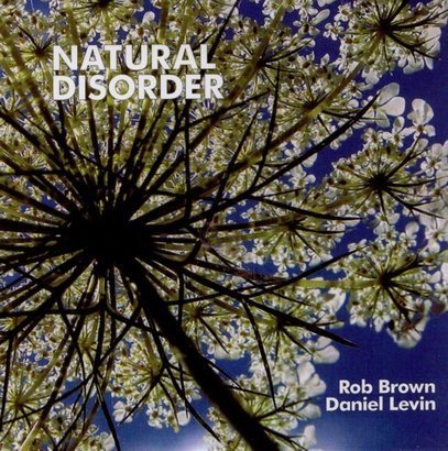 Natural Disorder Brown Rob, Levin Daniel