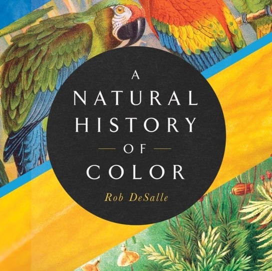 Natural History of Color Desalle Rob, Hans Bachor, Newbern George