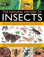 Natural History of Insects Walters Martin