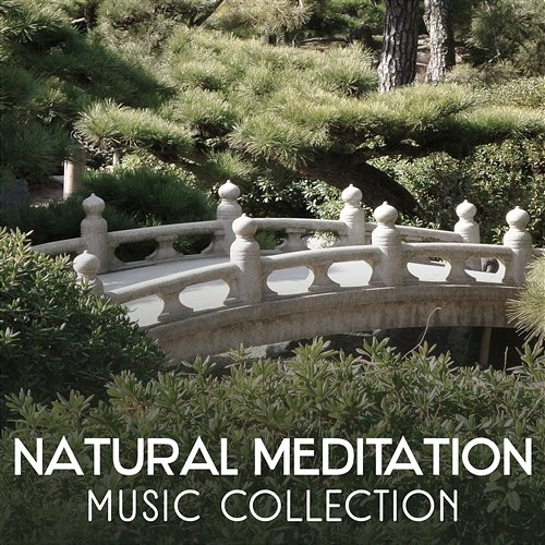 Natural Meditation Music Collection – Mindfulness Exercises for Inner Balance, Guided Meditation, Buddhist Tracks to Find Happiness Various Artists
