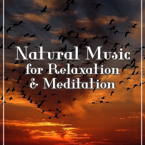 Natural Music for Relaxation & Meditation: Sound of Nature, Waves, Forest & Rain, Deep Concentration, Yoga Class & Home Spa Core Power Yoga Universe