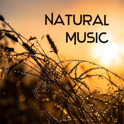 Natural Music – Healing Sounds for Tranquility Spa, Wellness, Relaxation, Yoga, Massage, Meditation, Sleep and Study Soothing Melodies Universe