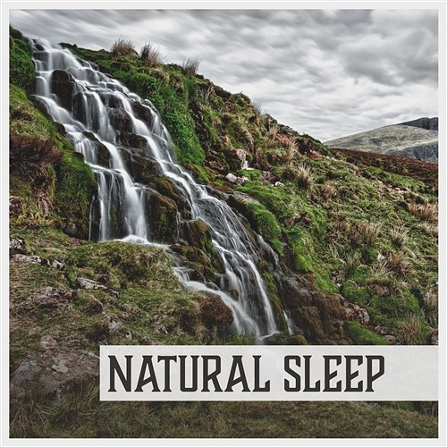 Natural Sleep – Calm Music for Deep Sleep, Sleep Therapy, Tranquility, Peace, Relaxation, Sound of Nature for Sleep Insomnia Cure Music Society