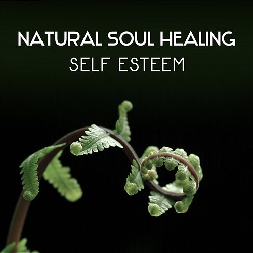 Natural Soul Healing – Self Esteem, Reiki Music, Relaxing Nature Soundscapes, Meditation Techniques, Body & Soul Harmony, Zen New Age Music Therapy Harmony Nature Sounds Academy