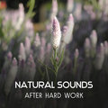 Natural Sounds After Hard Work – Relaxing Music to Calm Down, Reduce Stress After Bad Day, Regeneration Sounds for Brain & Body Brain Regeneration Oasis