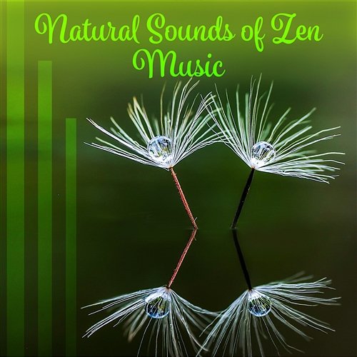 Natural Sounds of Zen Music: Meditation and Yoga Stress Relief, Healing and Soothing Your Spirit Natural Sounds of Zen Music
