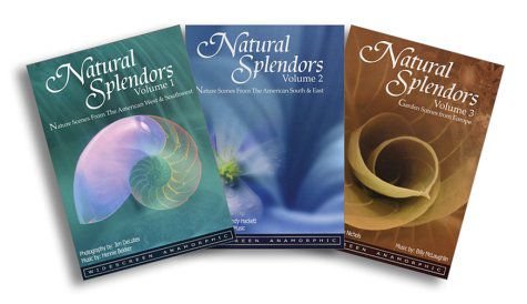 Natural Splendors Vol 13 Various Directors