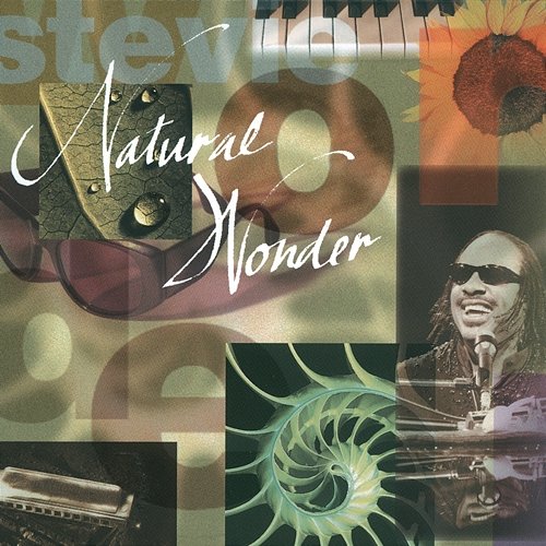 Natural Wonder Stevie Wonder