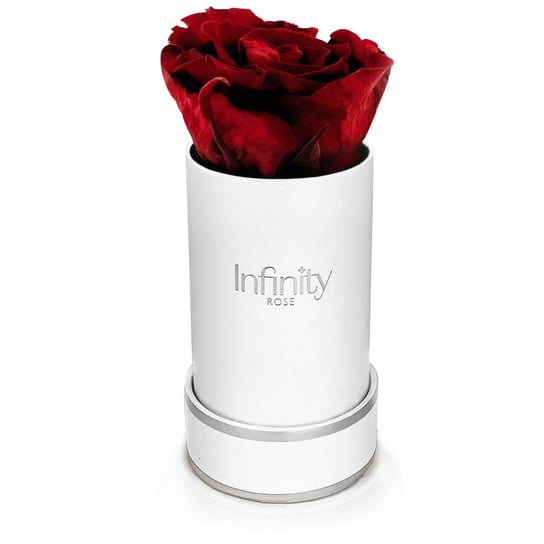 Naturalna Czerwona Wieczna Róża Biały Mini Flower Box Infinity Rose Infinity Rose