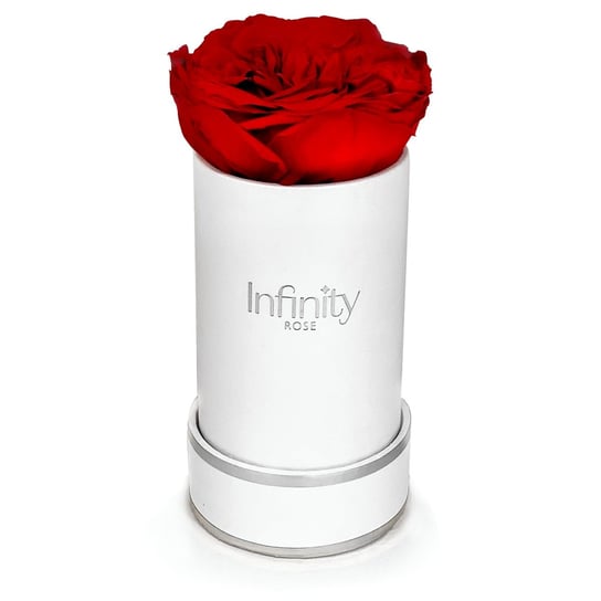 Naturalna stabilizowana wieczna róża czerwona biało-srebrny flowerbox Infinity Rose na prezent na Dzień Mamy Infinity Rose