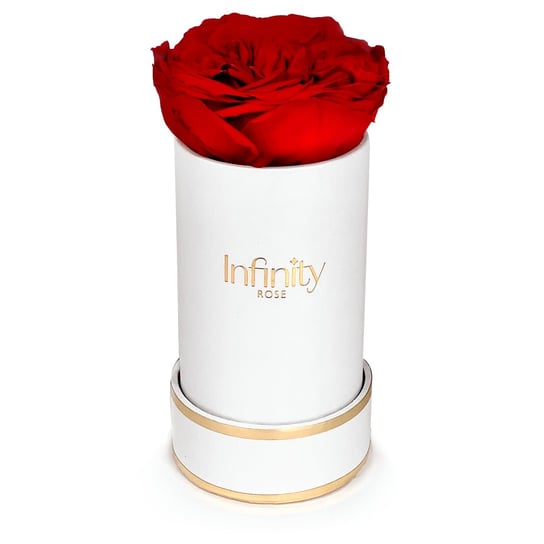 Naturalna stabilizowana wieczna róża czerwona biało złoty flowerbox Infinity Rose na prezent na Dzień Matki Infinity Rose